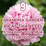 9 Grandma Garden Ideas That Feel Straight Out of a Storybook