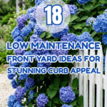 18 Low-Maintenance Front Yard Ideas for Stunning Curb Appeal
