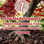 7 Low-Maintenance Front Yard Ideas That Look Expensive Without the Work