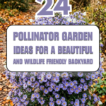 24 Pollinator Garden Ideas for a Beautiful and Wildlife-Friendly Backyard
