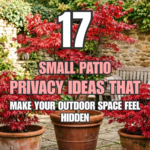 17 Small Patio Privacy Ideas That Make Your Outdoor Space Feel Hidden